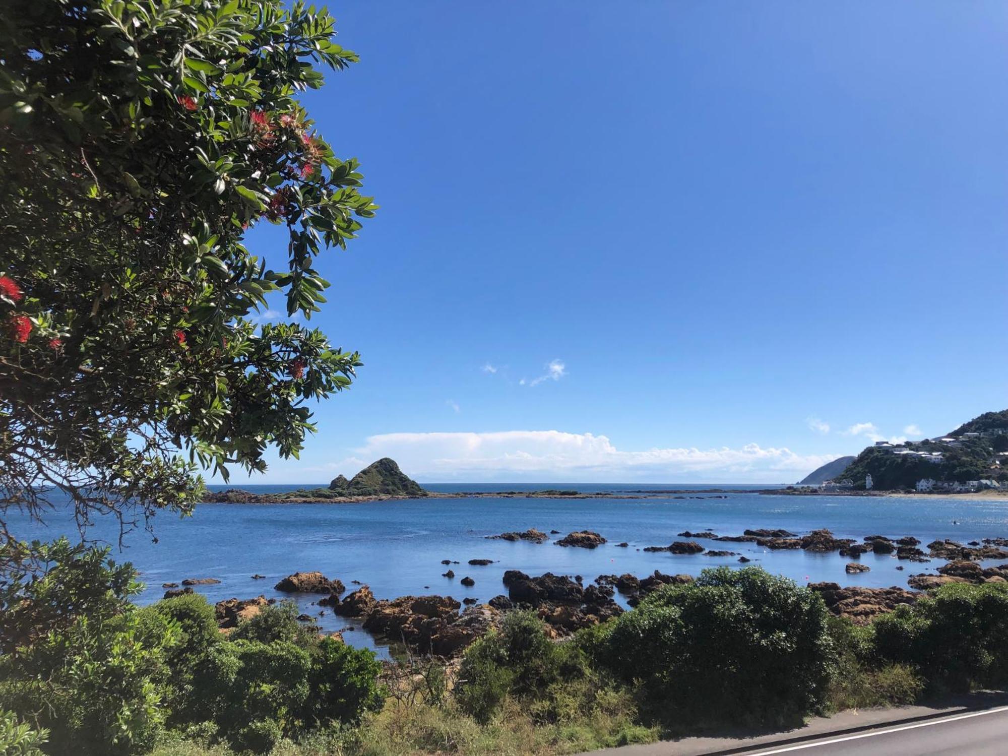 웰링턴 Seafront Haven In Island Bay With Deck, Outdoor Bath, And Parking 아파트 외부 사진